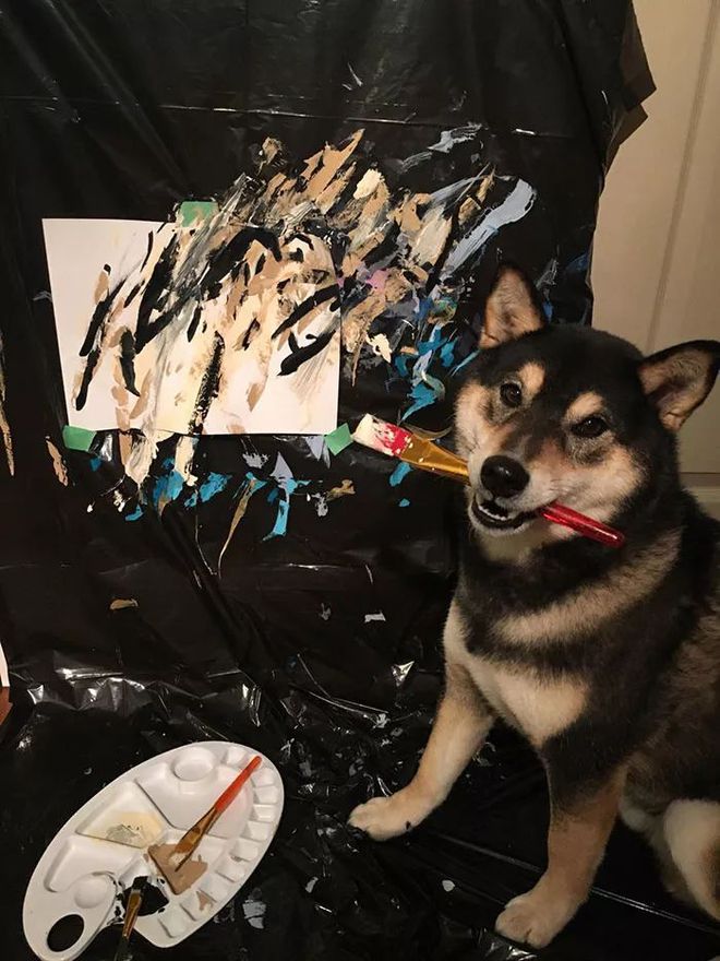 找到8个兔_由于找不到vcomp110_找到所有诡异的地方