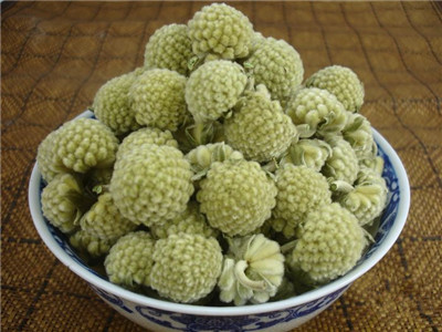 西藏绿萝花