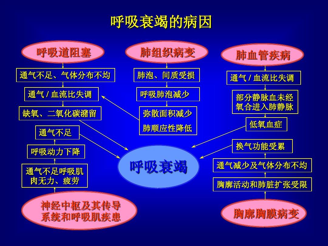 什么是呼吸衰竭分型_呼吸定义分类衰竭的标准_呼吸衰竭定义及分类