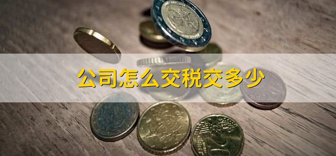 公司怎么交税交多少,交哪些税