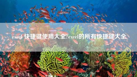 excel前进后退快捷键_excel后退前进操作_excel后退