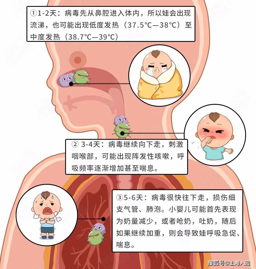 哮喘的主要症状是小孩_小孩哮喘什么症状_小孩哮喘病