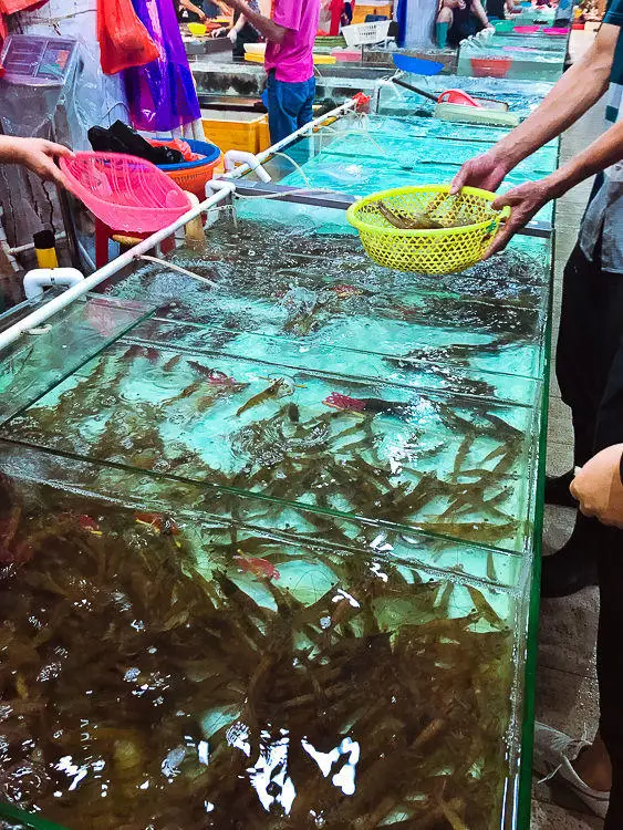 安易市场._安易市场手机版下载_安易市场下载