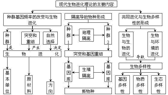 ecosystem diagram_ecosystem diagram_ecosystem diagram