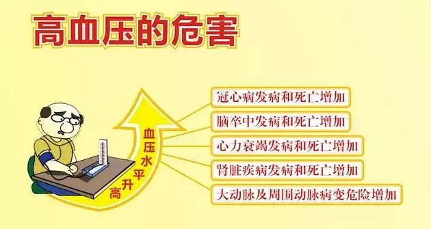 护理冠心病患者的收获与感悟_冠心病及护理ppt_护理冠心病患者的心得体会