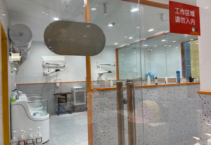 千亿宠物市场揭秘：猫一生或消费20万，向人类看齐