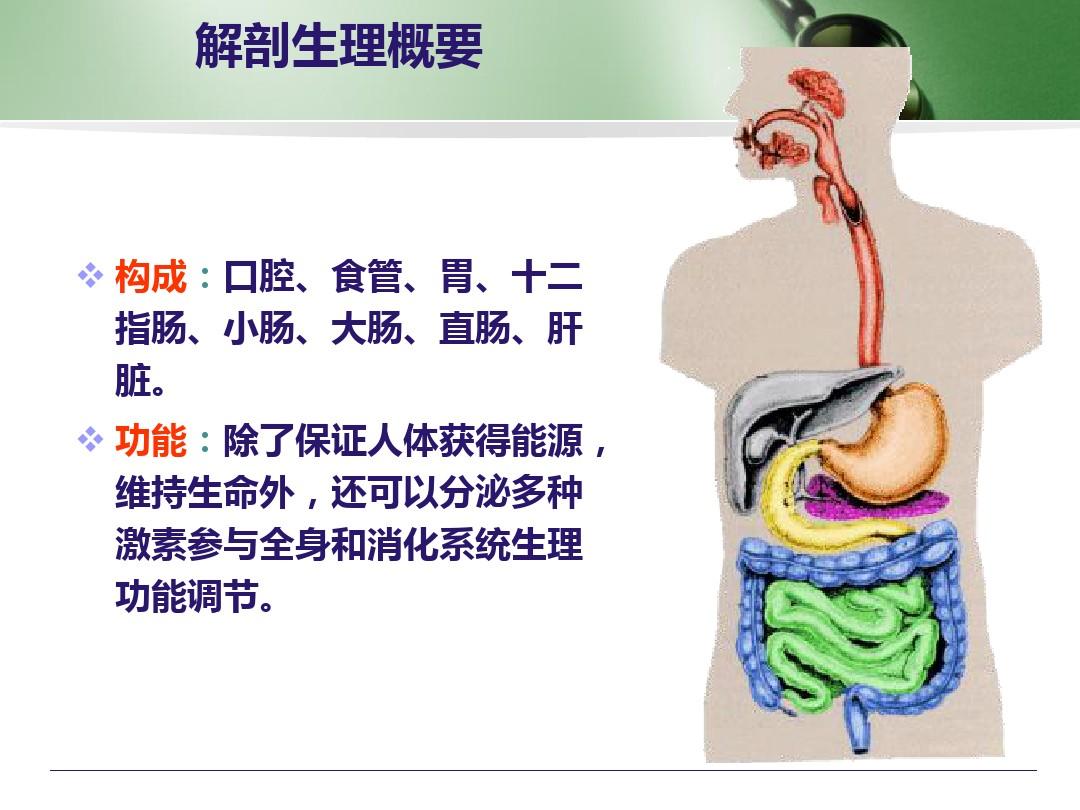 罗克罗恩病的特征性体征_克罗恩病课件_克罗恩病ppt课件免费下载
