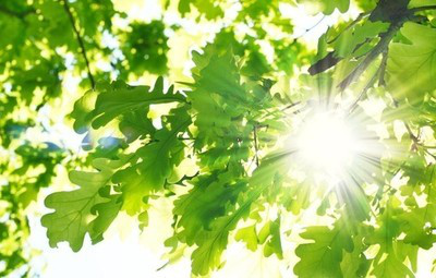 乐度app_乐度商城_乐度网上购物系统