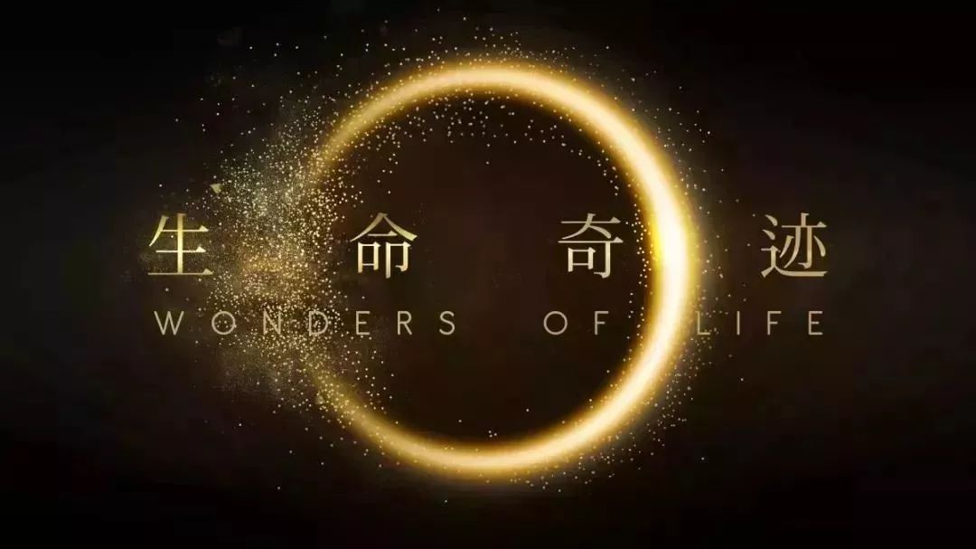 克罗恩病遗传吗_克罗恩遗传大数据_克罗恩病属于遗传病吗