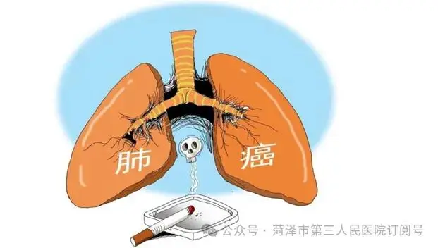 前胸后背疼 前胸还有红色小肿块_前胸后背红色包有刺痛感_前胸后背疼起红色疙瘩