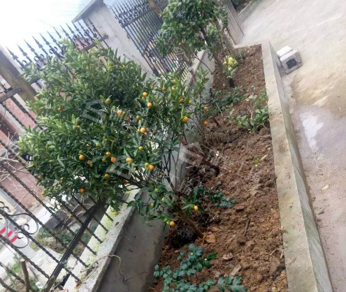 微信截图_20190426091943_副本.png