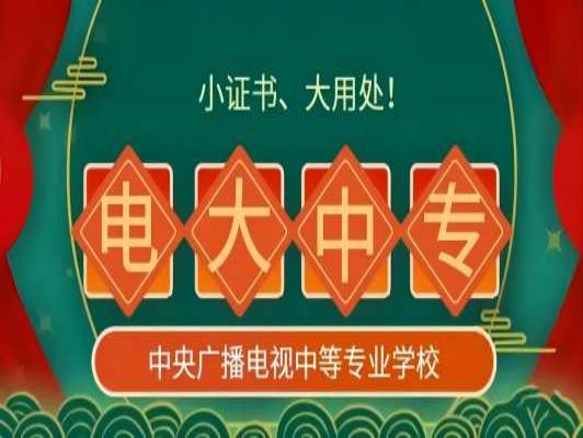 中等职业学校学号查询_中等职业学校编号查询_中等职业学校代码查询