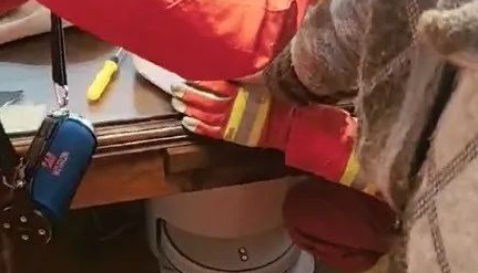 尴尬！女子喂猫将手指“喂”给自动猫粮机 消防队员上门破拆