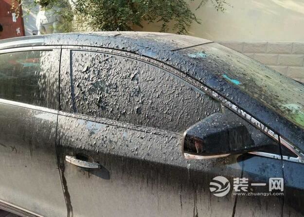郑州一电缆突然燃烧起火 停在下方的私家车“遭殃”