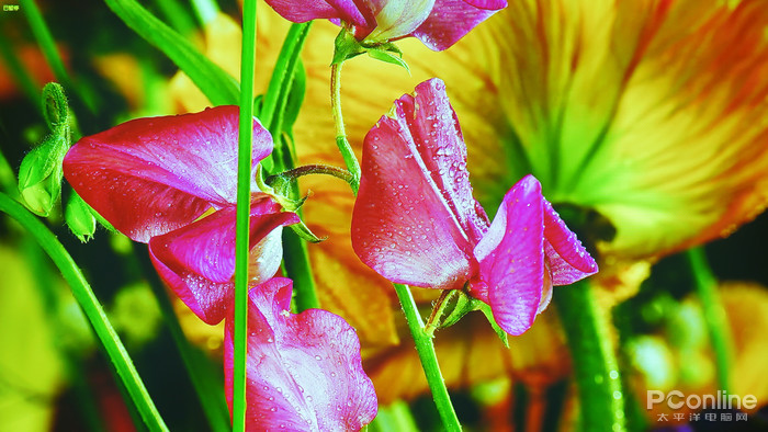 下载快手_下载微信_rthdcplexe下载