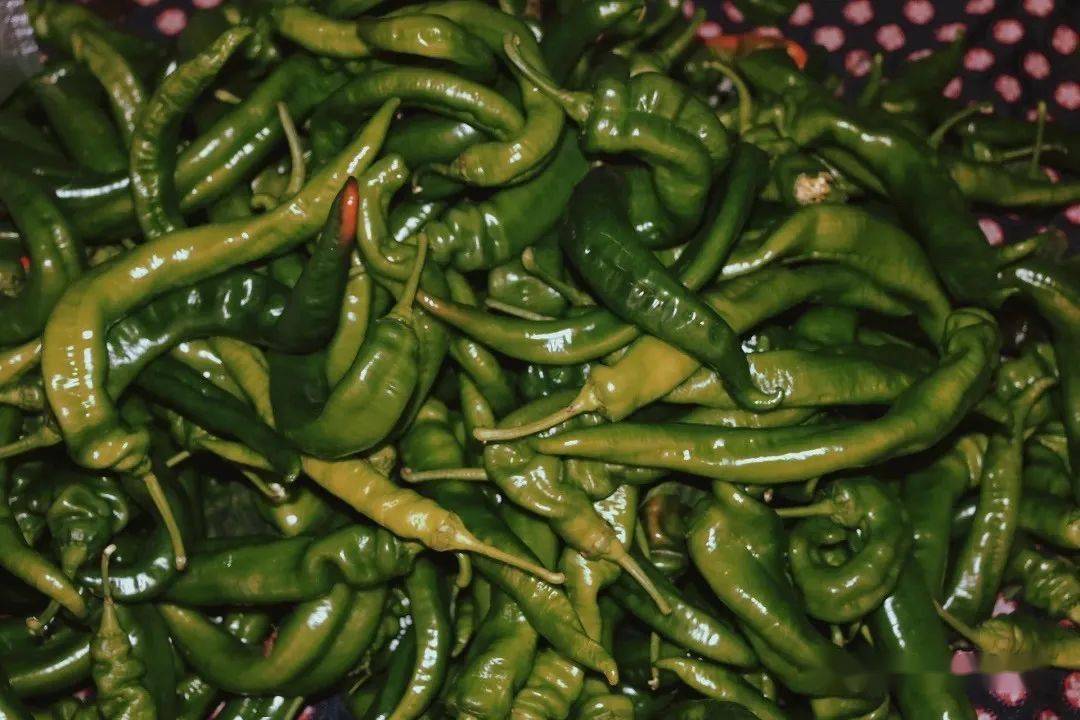 乐至团购网美食_四川乐至美食_乐山美食团购