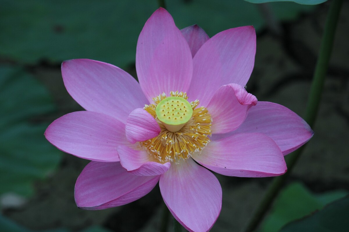 酒店系统桌面图_酒店桌面装饰_酒店系统界面