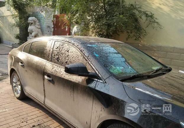 郑州一电缆突然燃烧起火 停在下方的私家车“遭殃”