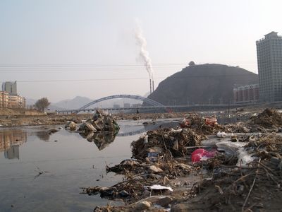 ecosia搜索引擎_ecosia浏览器入口_ecos