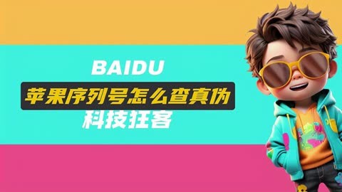 xp sp3 pro 序列号_序列号查询_序列号开头字母代表什么