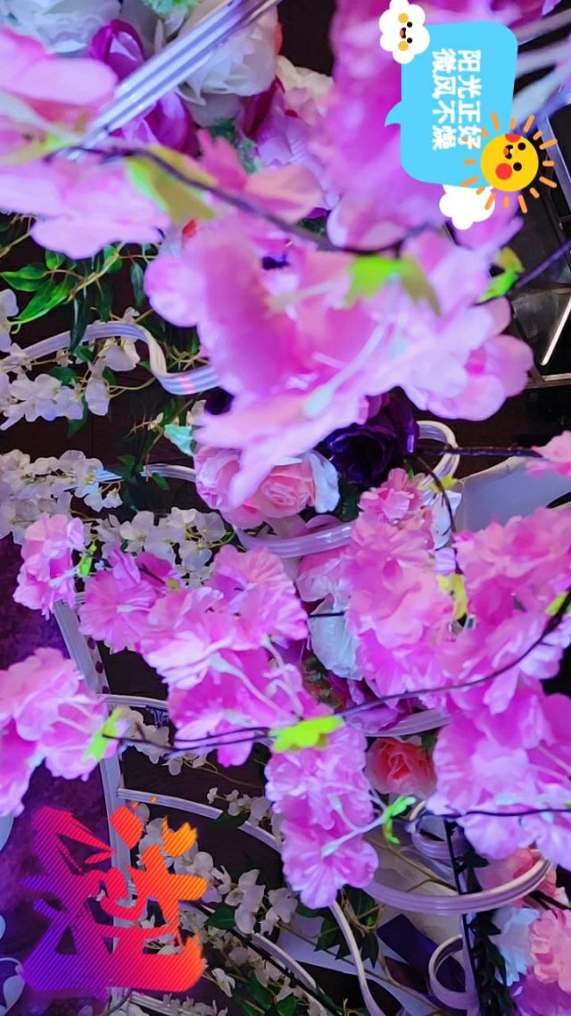 双击图标桌面打开上不了网页_桌面上图标双击打不开_双击图标桌面打开上一个图标