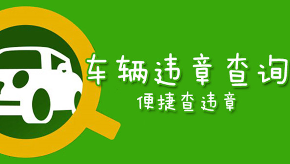 公安机关查询系统官网_公安机关网站查询_公安系统网查询