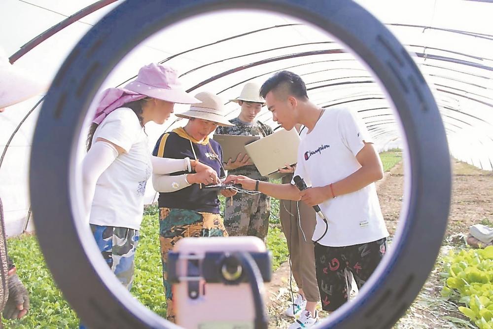 闽甘教育对口协作结硕果 定西学子获“中国大学生自强之星”称号