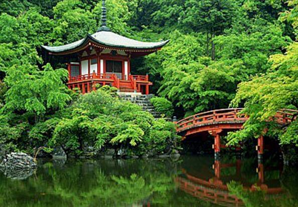 日本丸九公司_正品日本丸九在哪里能买到_日本丸九官网