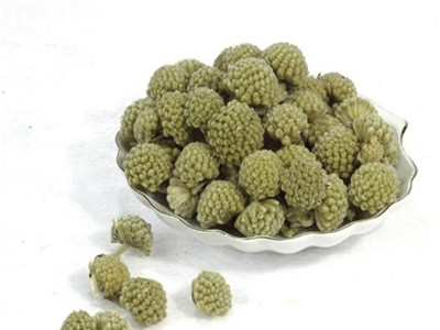 绿萝花实物