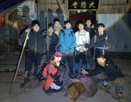 带金毛爬山受伤无法走了，主人竟将它遗弃在山上！