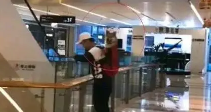 网友背着狗狗出门，狗狗发现有人偷拍它时，露出了这样的表情