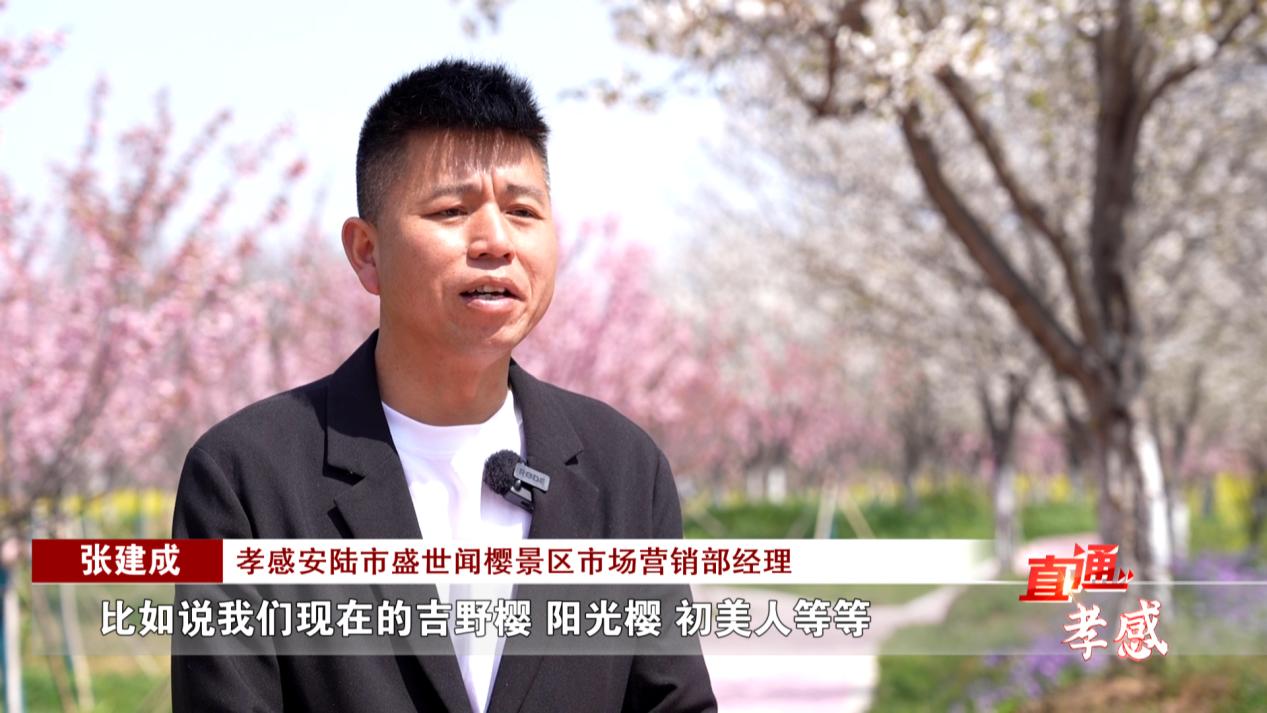 风林火山系统安装_风林火山系统官网_风林火山系统官方网