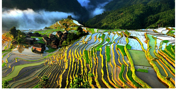 ecosystem services_ecosystem services_ecosystem services
