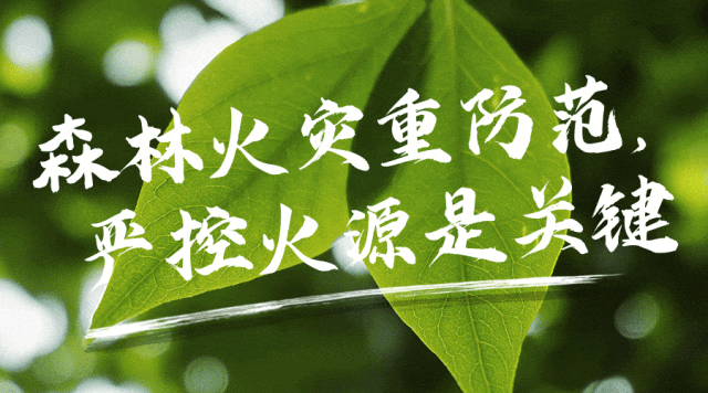 帝国响应式模板下载_帝国响应式资讯模板_blog响应式模板