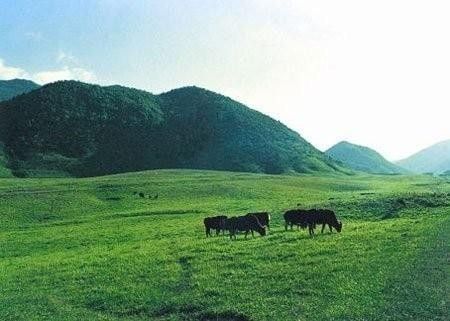 查询房证信息_经适房资格证查询_房屋资格查询