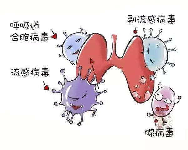 呼吸道合胞病毒性肺炎治疗原则_呼吸合胞病毒性肺炎_呼吸道合胞病毒(rsv)肺炎