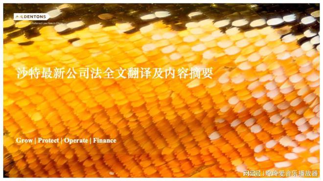 黑猴子系列游戏汉化安卓版_loic安卓汉化版_divirtual汉化安卓版