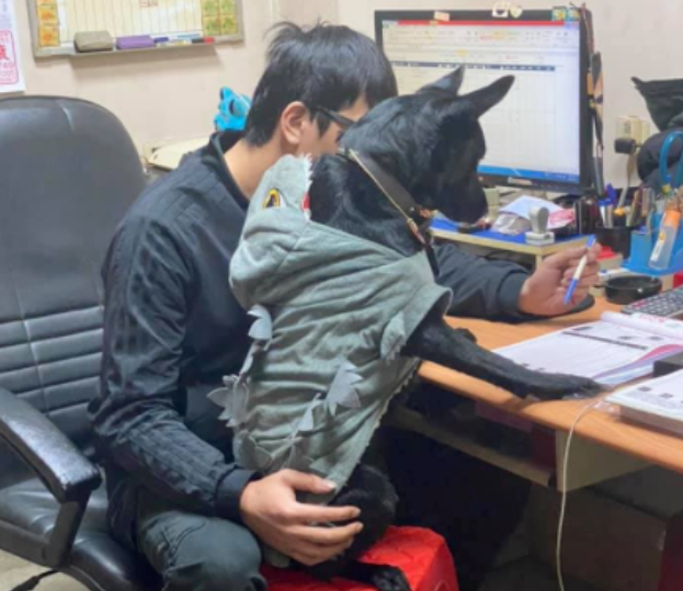 狗狗一个简单的举动，竟保持了几年，虽然平淡却更能打动人心！