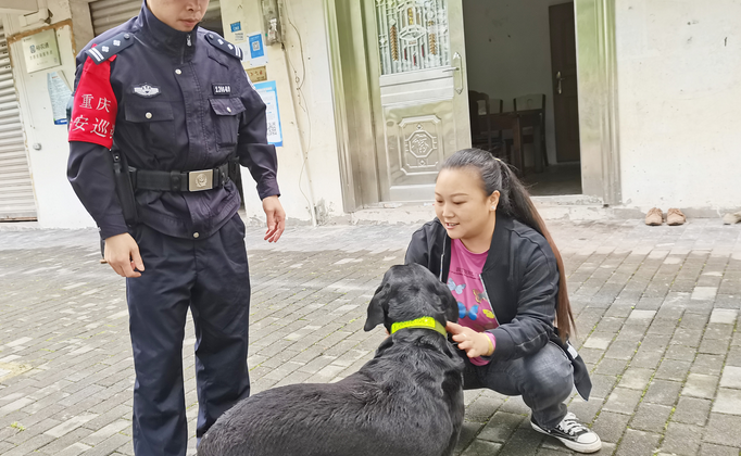 警民都笑了！真警察助“假警犬”回家