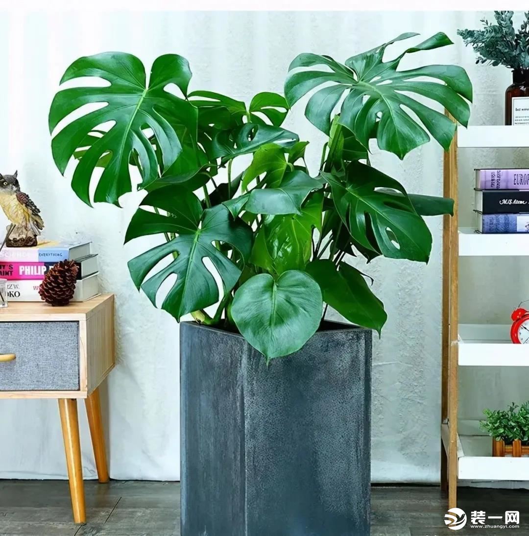 氛围感家居小技巧图