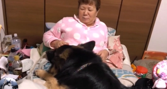 德牧都5岁了，还要女主抱着睡，这家伙是个“妈宝男”吧
