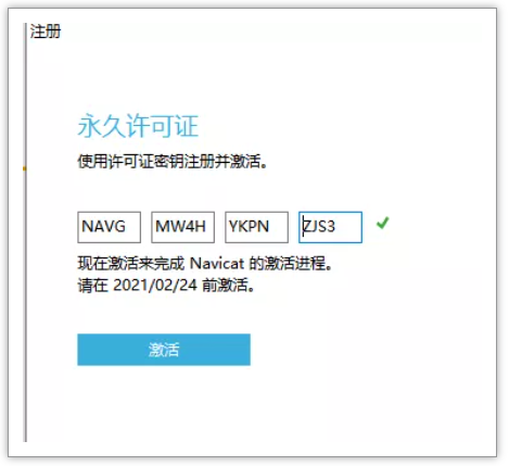 没法激活白条_没法激活触控id_windows home server 没法激活了
