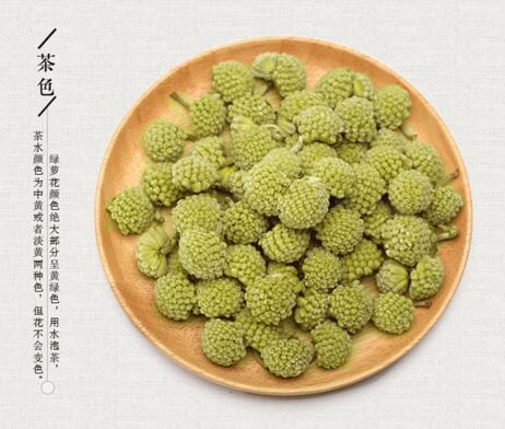 绿萝花高清图