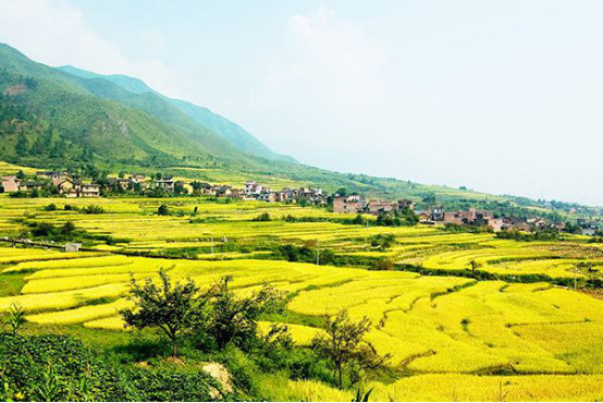 乡村振兴有集体土地