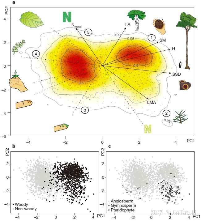 ecosystem diagram_ecosystem diagram_ecosystem diagram