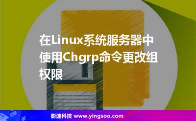 操作权限管理_操作权限设置_mac 您需要权限来执行此操作