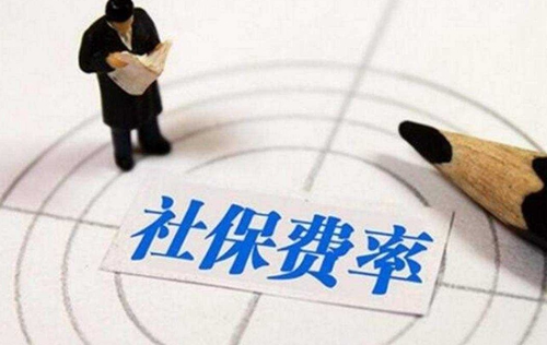 社保缴纳费用下降2