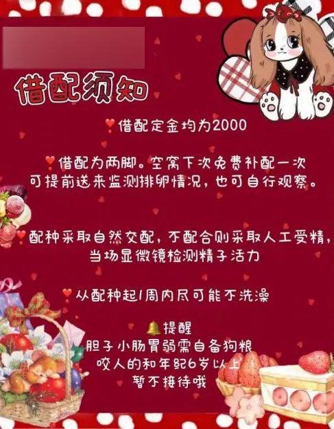 小小宠物店宠物越狱_汉思宠物店管理系统破解版_好点的宠物店系统