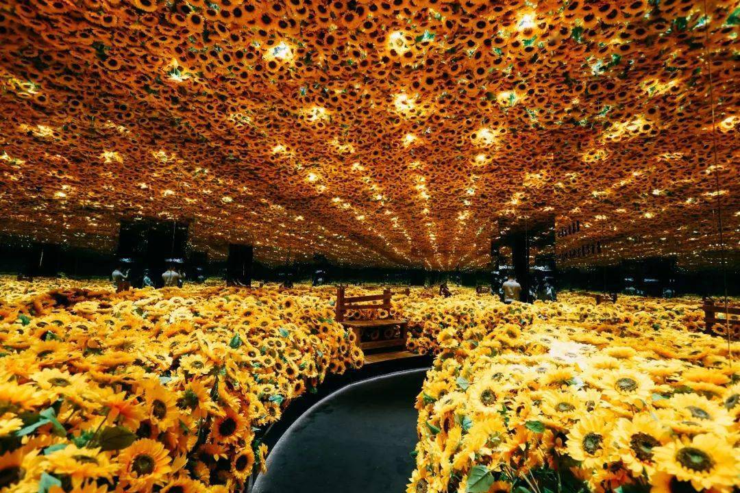 高碑店植物园多大_植物园高碑店开放时间_高碑店植物园