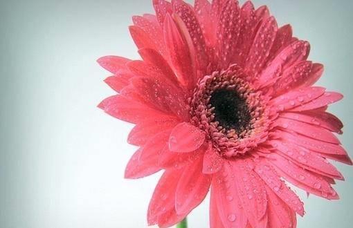 身份证姓名核对_核对证姓名身份怎么填_核对身份证号码和真实姓名